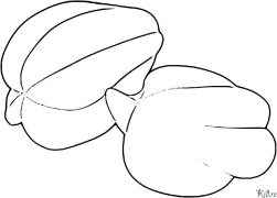 carom Kurasa Za Kupaka Rangi Zinazoweza Kuchapishwa